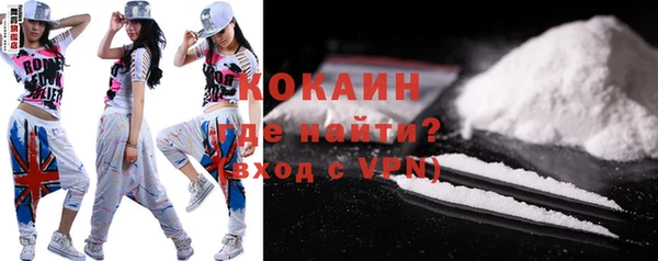сатива Вяземский