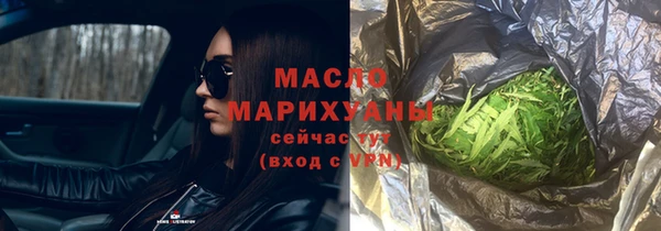 сатива Вяземский