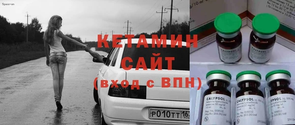 сатива Вяземский