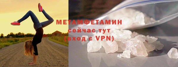 сатива Вяземский