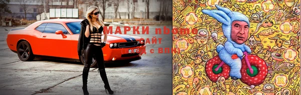 сатива Вяземский