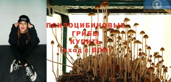 синтетический гашиш Вязьма