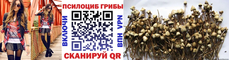 Купить закладки  Покров  Псилоцибиновые грибы Cubensis 