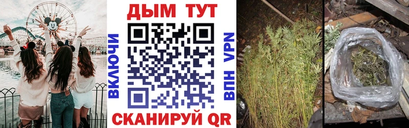 Марихуана Amnesia  Купить где  Покров 